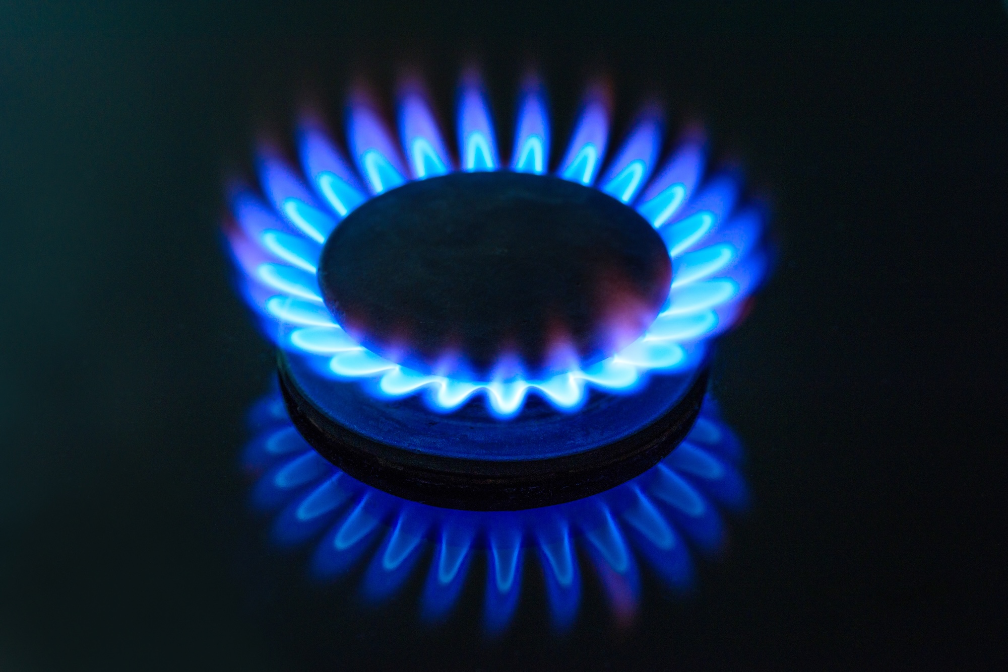 Fokus: Neues Gasprodukt enthält 15% Biogas